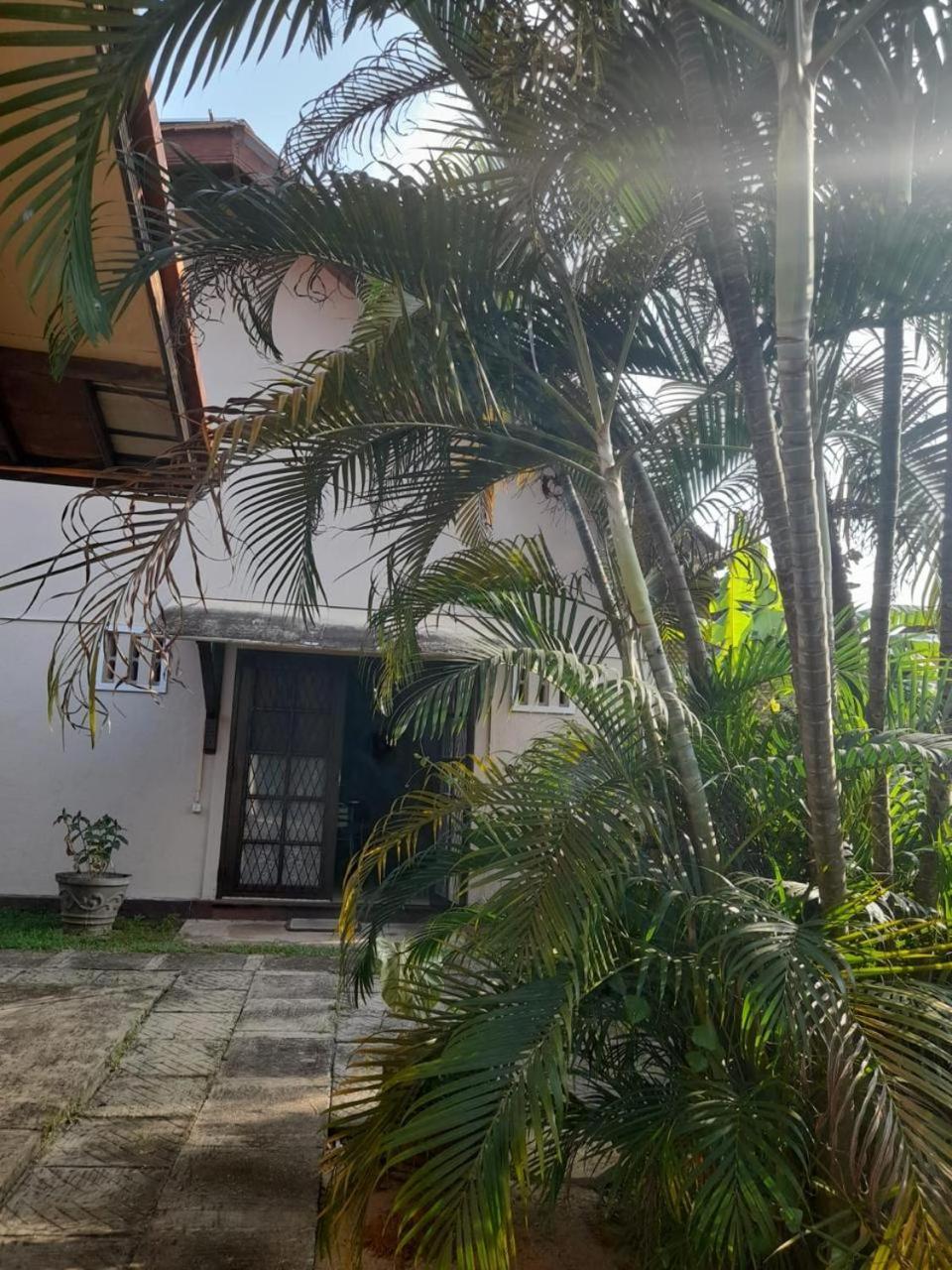 Fuchs Villas Negombo Dış mekan fotoğraf